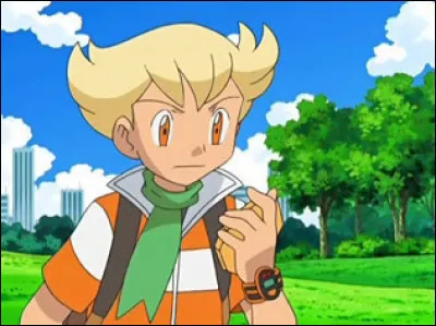 Quels Pokémon ne font jamais partie de l'équipe de René si le joueur a pris Ouisticram comme starter ? (Plusieurs réponses)