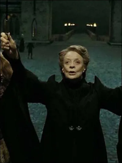 Combien sa baguette magique mesure-t-elle ?