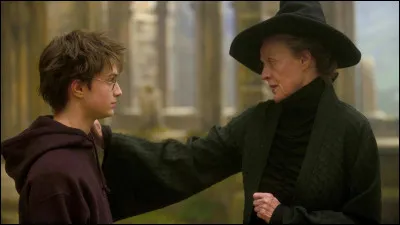 En quelle année Harry et Minerva se sont-ils vus pour la première fois ?