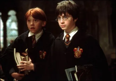 Où McGonagall se trouve-t-elle lorsque Harry et Ron se rendent à leur premier cours ?