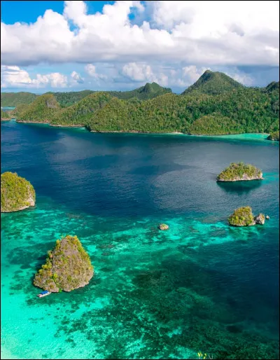 La Papouasie-Nouvelle-Guinée comprend plusieurs îles comme l'île Bougainville et elle se situe en :