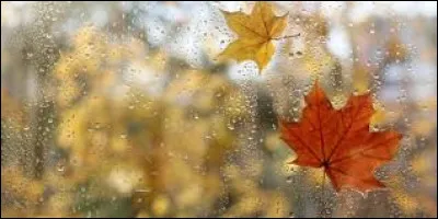 Qui a écrit le roman "Après la pluie, le beau temps" ?