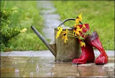 Complétez ce célèbre dicton : "Mariage pluvieux, ...