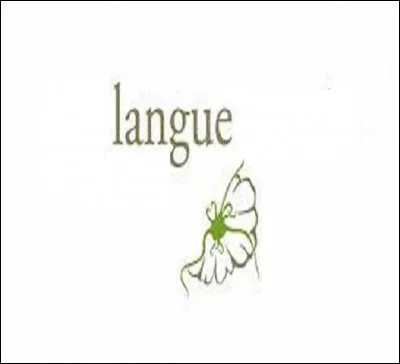 Quelle langue se lit de droite à gauche ?