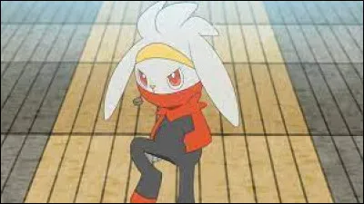 Laquelle de ces propositions n'est pas une évolution de ce Pokémon ?