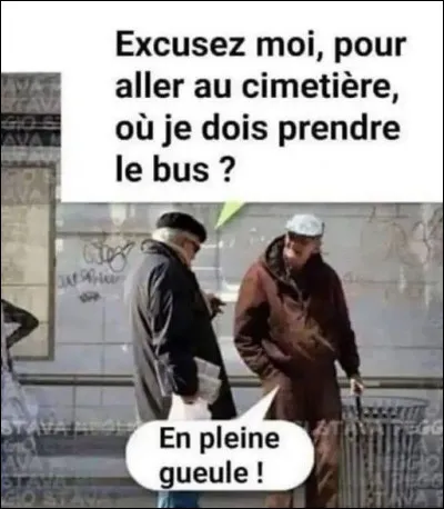 Ouvrier tanneur de cuir &agrave; l'alun et au sel !