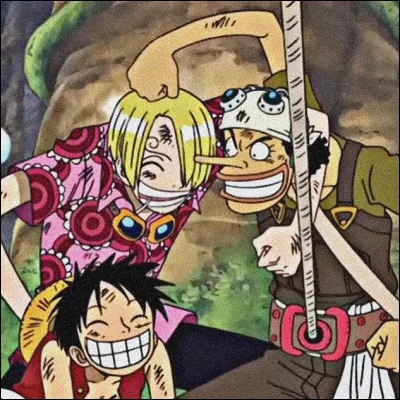Luffy, Usopp et Sanji décident d'affronter quelle ordalie ?