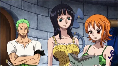 Qu'est-ce que découvrent Nami, Robin et Zoro ?