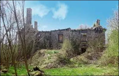 Vous avez sur cette image le château de de Saint-Cirgues-de-Malbert. Village Cantalien, il se situe dans l'ex région ...