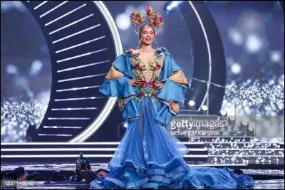Quel pays repr&eacute;sente cette Miss ?