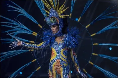 Quel pays repr&eacute;sente cette Miss ?