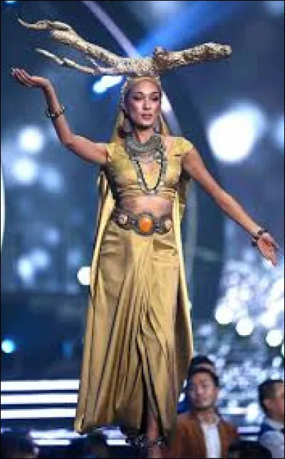 Quel pays repr&eacute;sente cette Miss ?