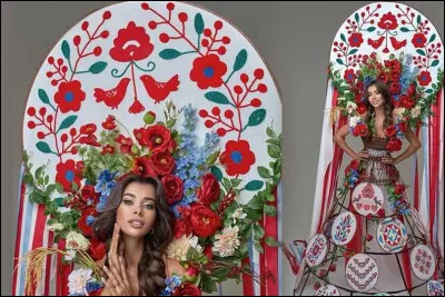 Quel pays repr&eacute;sente cette Miss ?