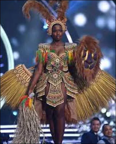 Quel pays repr&eacute;sente cette Miss ?