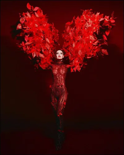 Quel pays repr&eacute;sente cette Miss ?