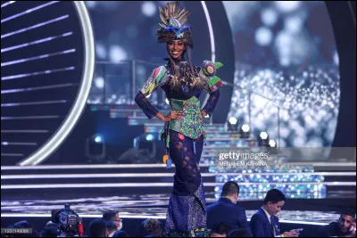 Quel pays repr&eacute;sente cette Miss ?