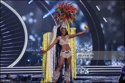 Quel pays repr&eacute;sente cette Miss ?