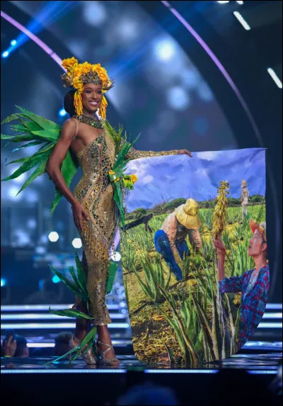 Quel pays représente cette Miss ?