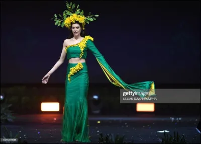 Quel pays représente cette Miss ?