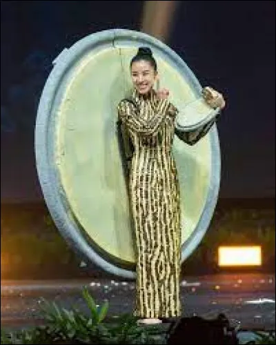 Quel pays représente cette Miss ?