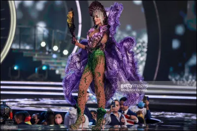 Quel pays représente cette Miss ?