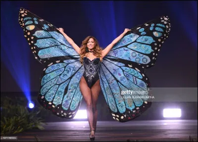 Quel pays représente cette Miss ?