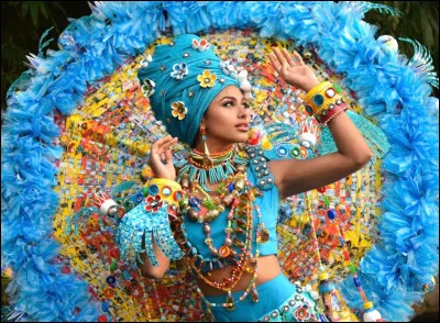 Quel pays représente cette Miss ?