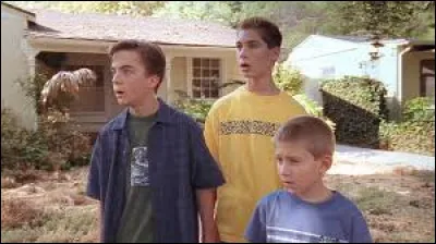 Qui a vendu des sapins de Noël ?