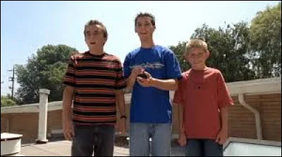 Qui devient le chef d'une meute de chiens ?