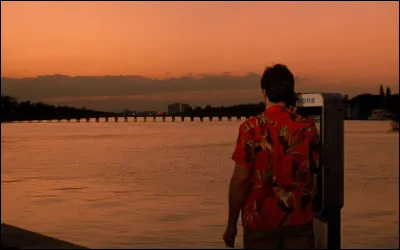 "Il voulait vivre le rêve américain jusqu'au bout", de quel film est-ce le slogan ?