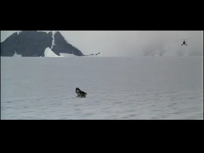 "Jusqu'au bout de la terreur", de quel film est-ce le slogan ?