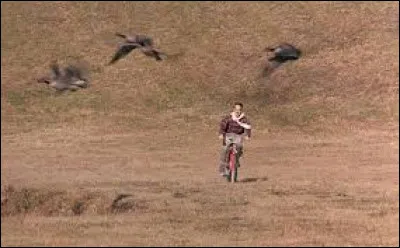 "Il fut leur inspiration. Il a transformé leur vie à jamais.", de quel film est-ce le slogan ?