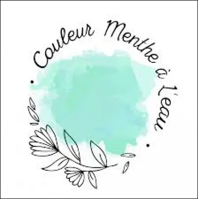 Qui interprète le titre "Couleur menthe à l'eau" ?