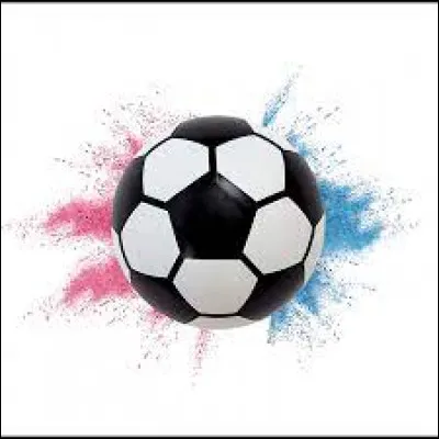 Sport : Quel sport pratique-t-on avec ce ballon ?