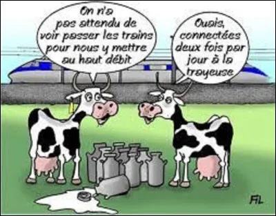 Animaux/productivité : 
Quelle race de vache produit à elle seule 80% de la production de lait en France ?