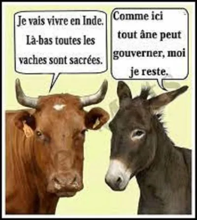 Géographie : 
La vache est particulièrement sacrée en Inde. Dans quel État, du nord-ouest de ce pays, le meurtre de cet animal est-il condamnable à la prison à perpétuité ?