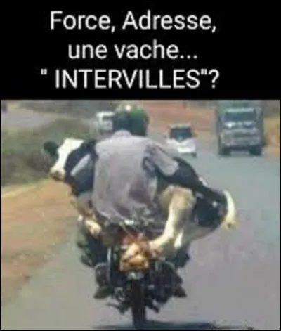 Télévision : 
Diffusé pendant plus de 50 ans, ''Intervilles'' est un jeu culte qui faisait participer 2 villes dans des épreuves où, souvent, intervenaient des vachettes qui envoyaient le candidat valser. Créée par Guy Lux et Claude Savarit, en quelle année fut retransmise la première émission, qui en compte 344 ?