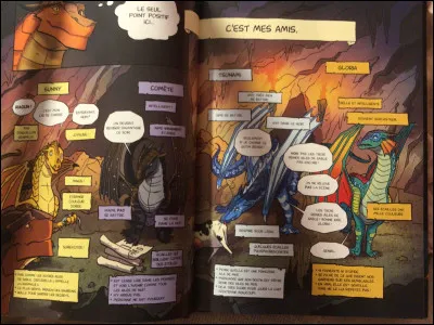 Maintenant, trouvez les bons dragonnets du destin parmi ces propositions :