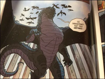 Livre 3 : quel dragonnet a été capturé par les Ailes de Nuit ?