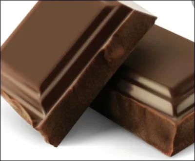 Pourquoi le chocolat est-il toxique pour les chiens ?