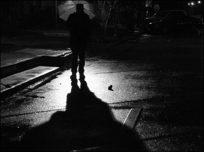 Au bout de la rue, une espèce de bête traverse la route. Tu ne l'as pas très bien distinguée tellement elle allait vite. Quelle est ta réaction ?