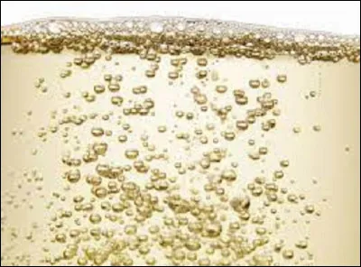 Quel gaz forme les bulles du champagnes ?