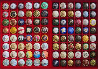 Quel est le nom d'un collectionneur de capsules de champagne ?