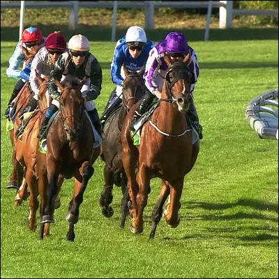Quelle race de cheval, tr&egrave;s pr&eacute;sente sur les champs de course, est class&eacute;e dans les chevaux &agrave; sang chaud ?