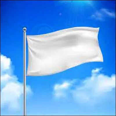 Lequel de ces drapeaux poss&egrave;de une forme carr&eacute;e impos&eacute;e par la loi ?