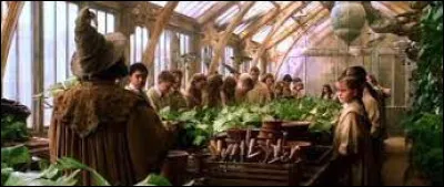 Quelle matière préfères-tu ?