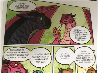 Quest-ce que tu préfères manger ? (3)