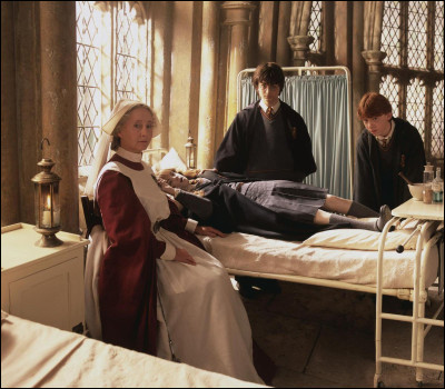 Quand elle a été pétrifiée par le basilic, Hermione Granger tenait...