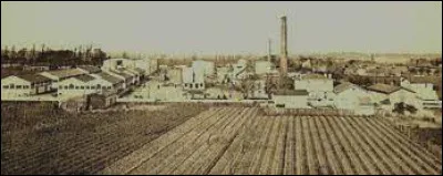 Cet estuaire a accueilli plusieurs raffineries autour des années 1880 et constituait alors un des principaux centres de raffinage ; ses dernières raffineries, arrêtées après le premier choc pétrolier, ont été reconverties en dépôts : de quel estuaire s'agit-il ?