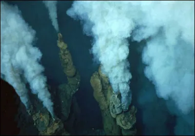 Quel est le nom de ce type de cheminée ?